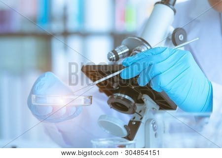 Close Up Shot Of Scientists Collected Specimens For His Experiments, In Laboratory Room.
