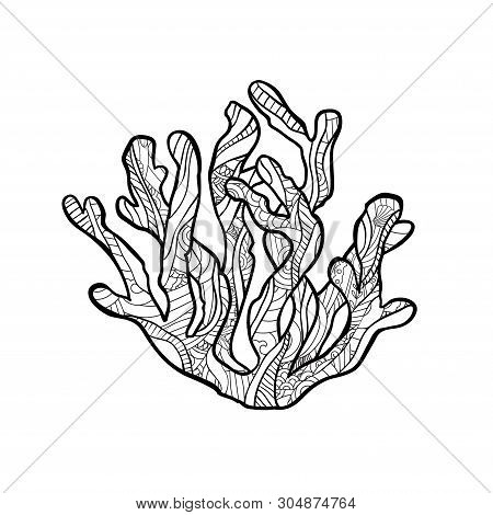 Doodle Coral In Zentangle Inspired Style. Coloring Book For Adult And Older Children.