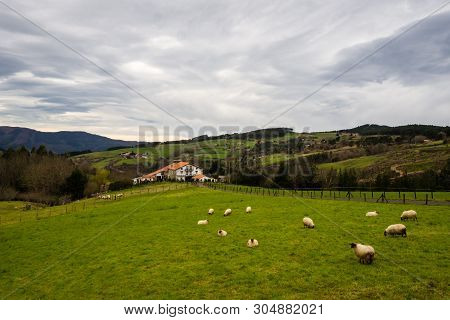 Typical Basque Farmhouse With Sheep Grazing On A Cloudy Day