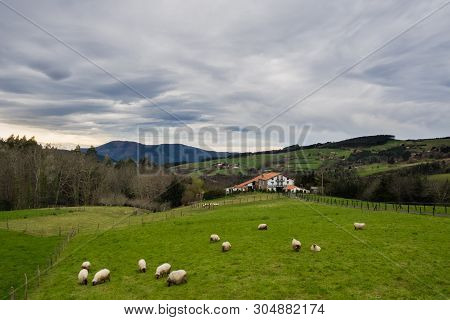 Typical Basque Farmhouse With Sheep Grazing On A Cloudy Day