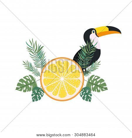 Pattern Of Toucan And Summer Flower Vector Illustration Design