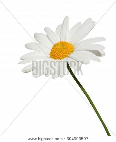 Euro; Money; Euro Coins; Cent; Calendar; Tax; Appointment; Currency; Statistics; Save; Home Loan; Cr