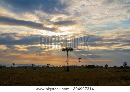 Evening Weather In The Field, Golden Cloud And Sky With Sun Light Are Shone Through The Clouds Look