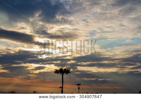 Evening Weather, Golden Cloud And Sky With Silhouette Sugar Palm Trees In The Field. Sun Light Are S