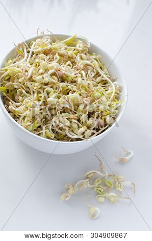 Mung Beans On White Background, In A Deep Plate