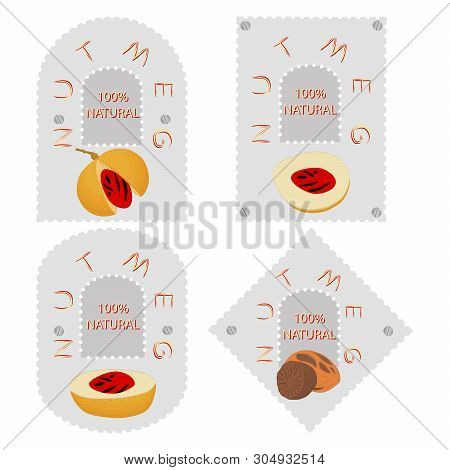 Illustration On Theme Big Set Different Types Spice Nutmeg, Nuts Various Size. Nutmeg Pattern Consis