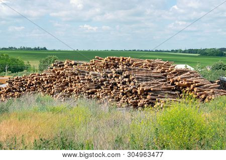 Outdoor Industry Storage Of Logs On The Background Of Summer Green Field. Piles, Stacks Of Wooden Lo