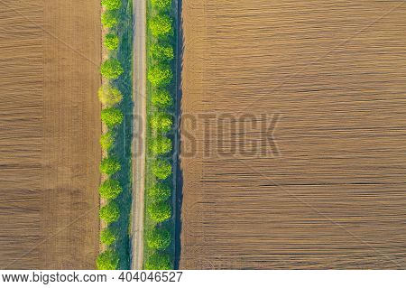Drone Photo Of The Bright Green Tree Line And County Road Separated Agriculture Field. Aerial Landsc
