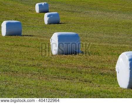 White Hay Bales On Finnish Countryside. Artistic Picture.