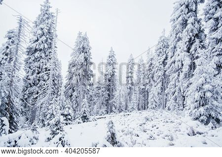 Krokonose Mountains Is Located In Northeastern Bohemia And In The South Of The Polish Part Of Silesi