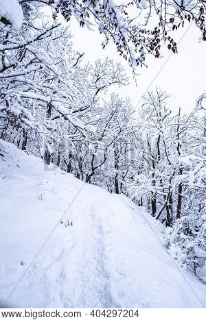 Bezdez Castle Is A Gothic Castle Located Some 20 Kilometres Southeast Of Ceska Lipa, In The Liberec 
