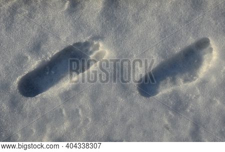 Walking Through The Snow Without Boots. First Take Off Your Socks And Then Come Across The Snow Cove