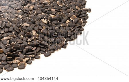 Spreading Of Luffa Or Loofah, Luffa Aegyptiaca Seeds With Copy Space Isolated On White Background