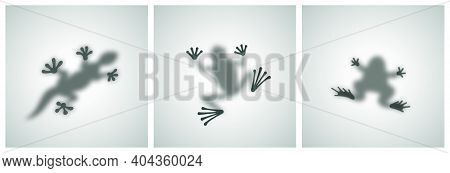 Diffuse Reptiles Silhouettes Shadow Abstract Vector Images Set. Toad, Frog, Lizard, Gecko Or Chamele