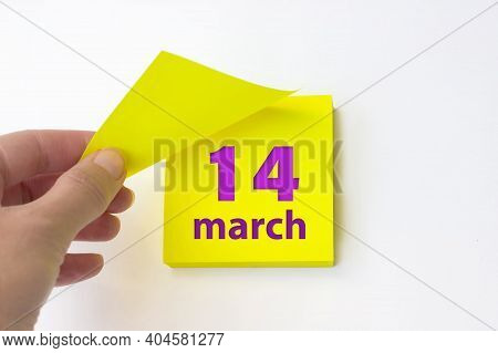March 14th. Day 14 Of Month, Calendar Date. Hand Rips Off The Yellow Sheet Of The Calendar. Spring M