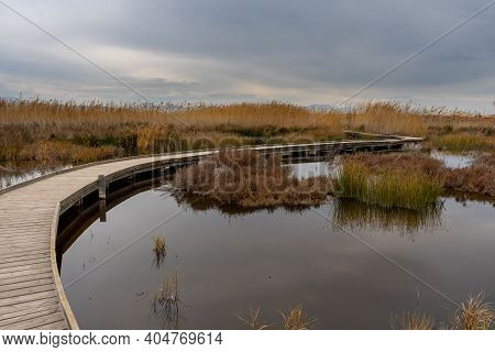 View Of A Wooden Walkway In The Natural Reserve Of Plants And Birds La Marjal Els Moros In The Town 
