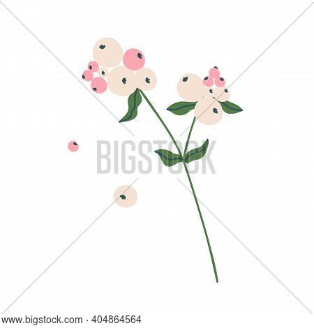 Delicate Pale Pink Snowberry Twig. Botanical Element For Decoration. Colorful Flat Vector Illustrati