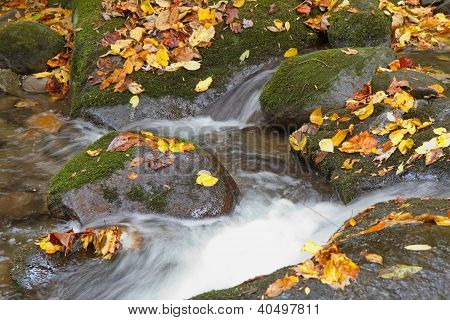 Felsen und Herbst BlÃ¤tter im Bergbach