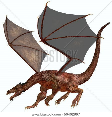 Orange Red Dragon