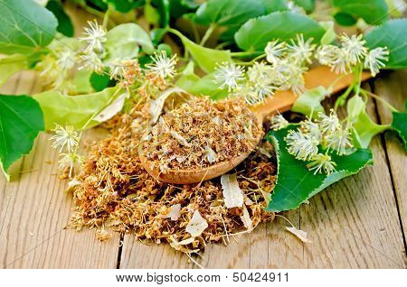Herbal Tea From Dry Linden Flowers On A Spoon