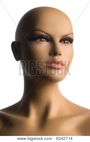 Manichino donna