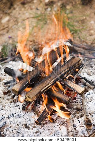 Camping Bonfire With Ash