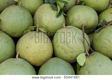 Pomelo Or Pummelo