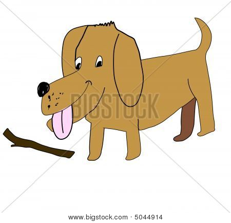 Cão