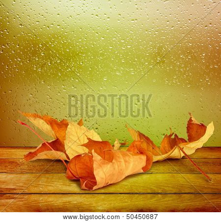 Dried Autumn Leaves Lying On The Background Of The Rainy Window