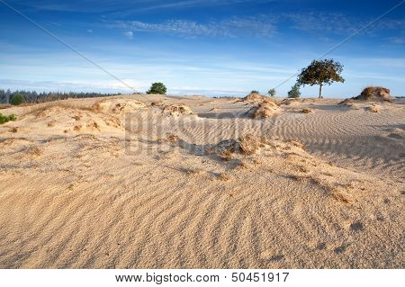 Wind Texture On Sand Dunes