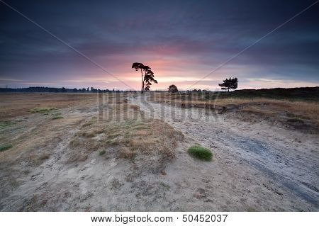 Pink Summer Sunrise Over Sand Dunes