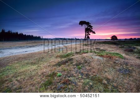 Pink Warm Sunrise Over Wild Hills And Meadows