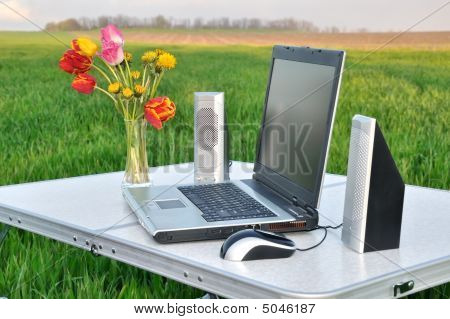 Doğanın üstünde laptop