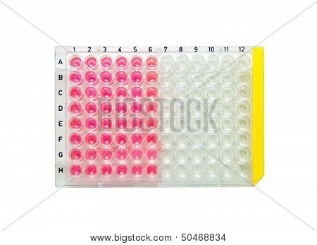 Virus Cultures In Small Test Tubes, Isolated