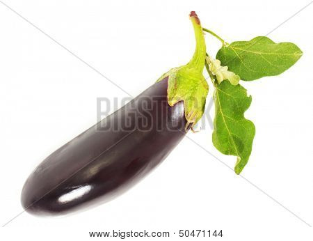 eggplant. isolated on white background