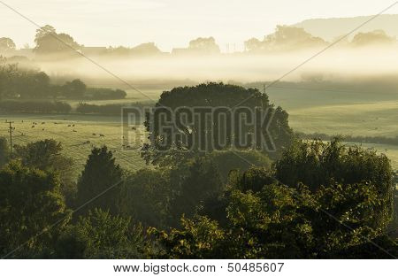 Early Morning Mist
