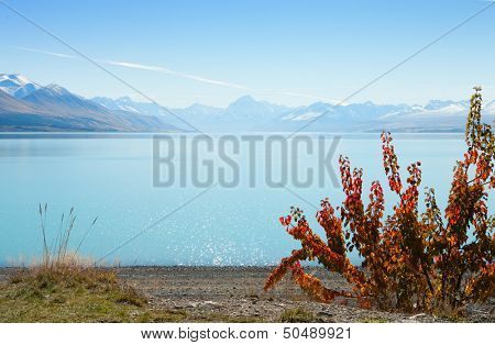 beautiful view of Lake Tekapo in autumn,  South Island,  New Zealand  