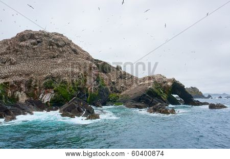 Mountain Top With Bird Sanctuary At Seven Islands