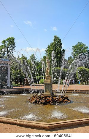 Fountain In Peterhof