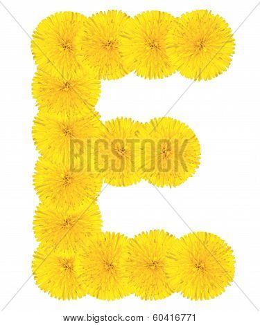 Letter E Made From Dandelions