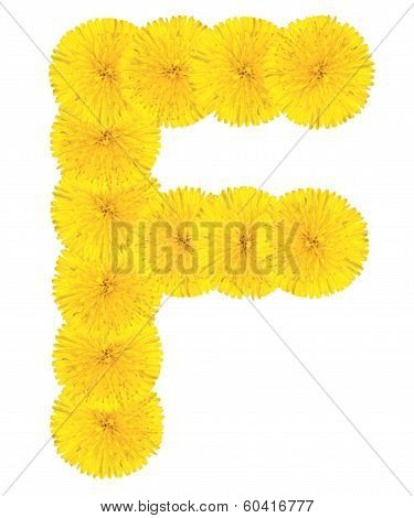 Letter F Made From Dandelions