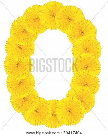Letter O Made From Dandelions