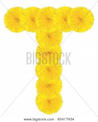 Letter T Made From Dandelions
