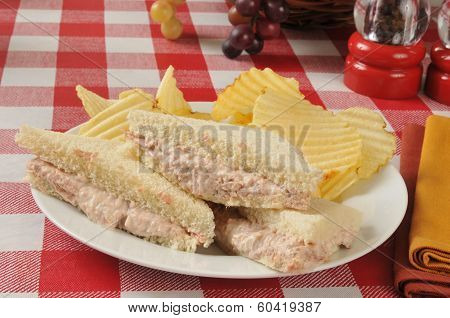 Tuna Sandwich And Chips