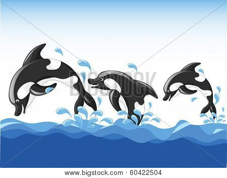 Jumping Dolphins Cartoon