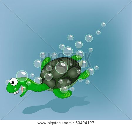 Turtle and Bubble Vector