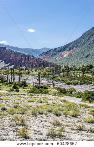Cienaga, Quebrada De Humahuaca, Jujuy, Argentina.