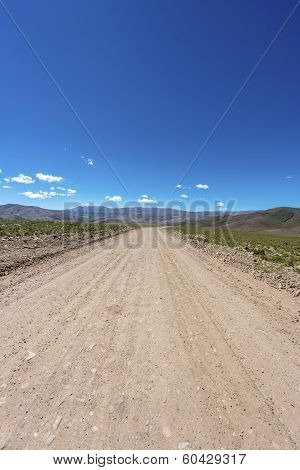 Condor, Quebrada De Humahuaca, Jujuy, Argentina