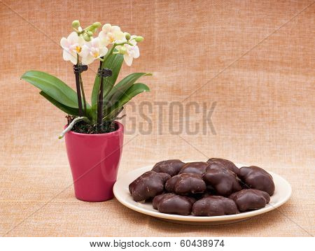 Orchid Flower And Gingerbread Cookies