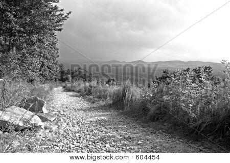 Mountain Trail In B&W